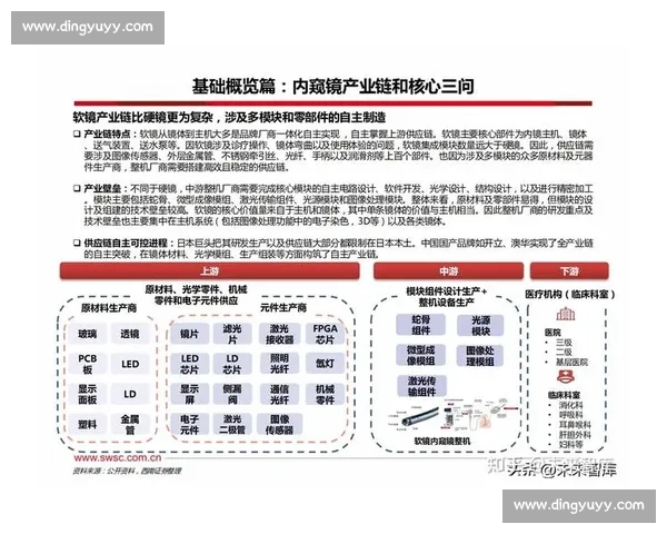 聚焦专家点评视角 深度解读行业趋势与核心价值与未来发展路径